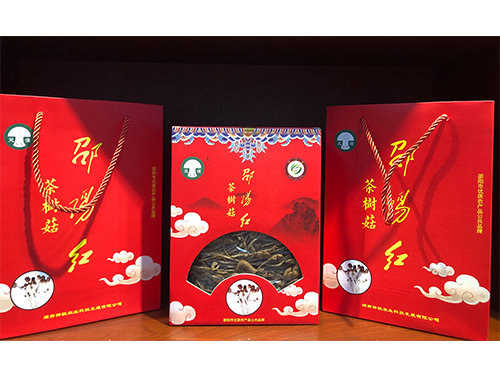 邵陽(yáng)紅