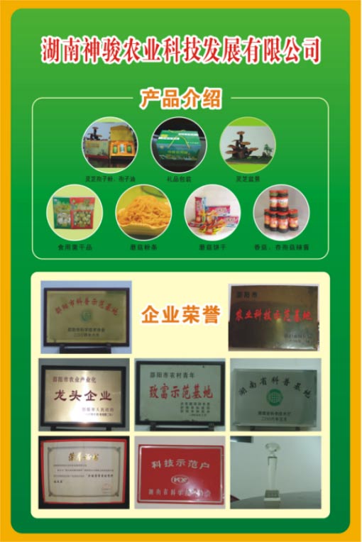 湖南神駿農業(yè)科技發(fā)展有限公司,湖南神駿農業(yè),湖南農業(yè)科技,靈芝,茯苓,雙孢菇,杏鮑菇,食用菌哪家好 湖南神駿農業(yè)科技發(fā)展有限公司,湖南神駿農業(yè),湖南農業(yè)科技,靈芝,茯苓,雙孢菇,杏鮑菇,食用菌哪家好