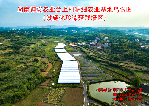 基地鳥瞰圖