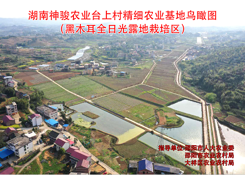 基地鳥瞰圖