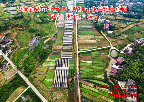 基地鳥瞰圖